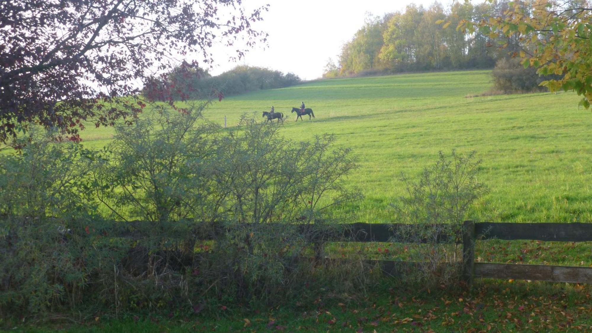 Natur Pur Mit Fernblick Fuer Wanderfreunde Bad Sachsa Exteriör bild