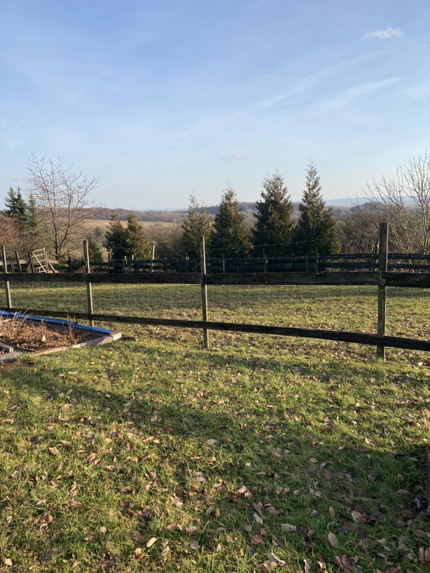 Natur Pur Mit Fernblick Fuer Wanderfreunde Bad Sachsa Exteriör bild