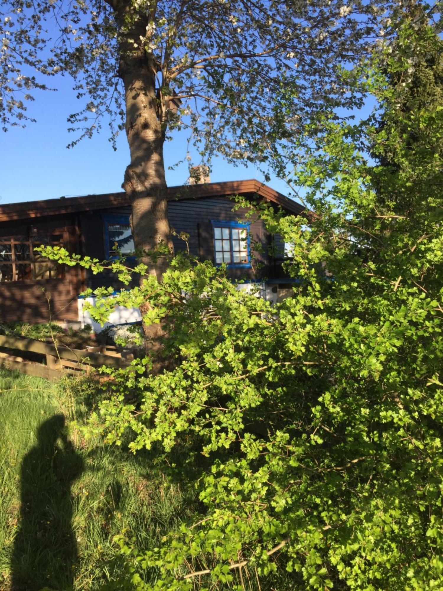 Natur Pur Mit Fernblick Fuer Wanderfreunde Bad Sachsa Exteriör bild